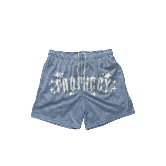UNC BLUE SHORTS